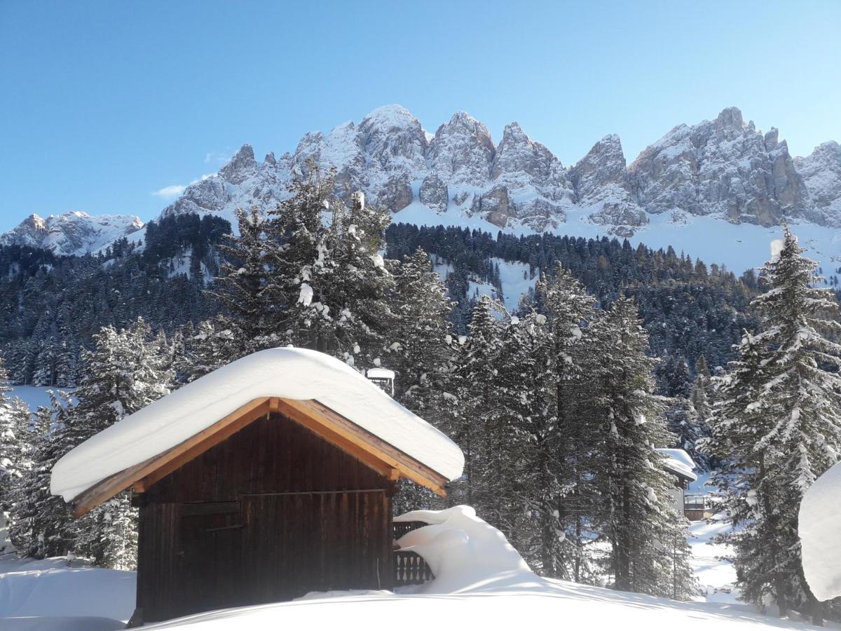 Mountain Residence Alpenhof - Company Hotel Alpenhof Kg Sas Der Gasser Renate ブレッサノーネ エクステリア 写真