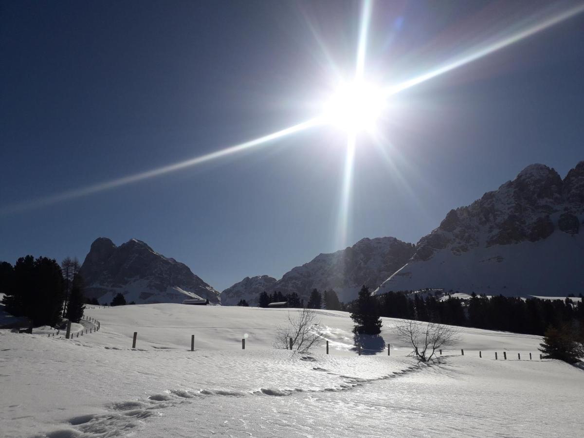Mountain Residence Alpenhof - Company Hotel Alpenhof Kg Sas Der Gasser Renate ブレッサノーネ エクステリア 写真