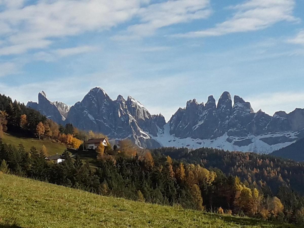 Mountain Residence Alpenhof - Company Hotel Alpenhof Kg Sas Der Gasser Renate ブレッサノーネ エクステリア 写真