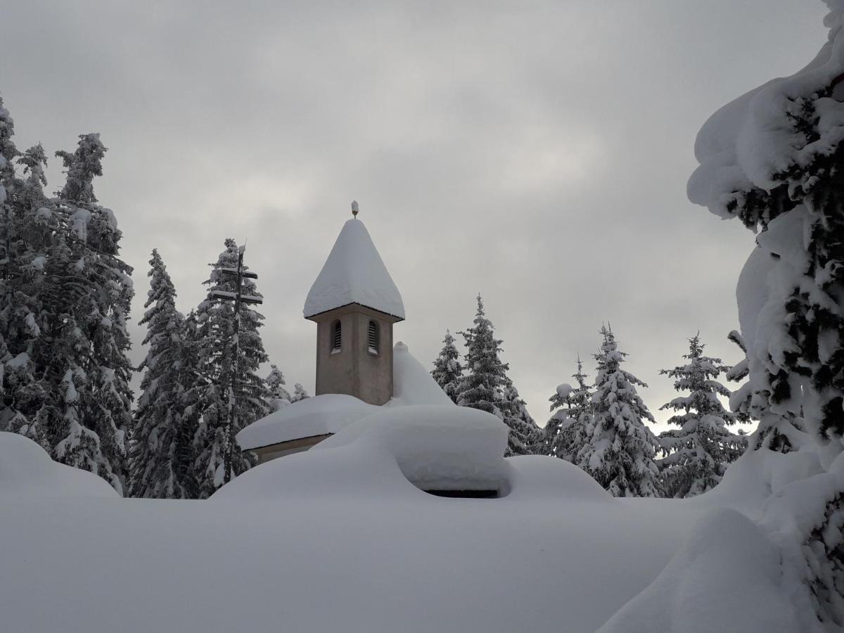 Mountain Residence Alpenhof - Company Hotel Alpenhof Kg Sas Der Gasser Renate ブレッサノーネ エクステリア 写真
