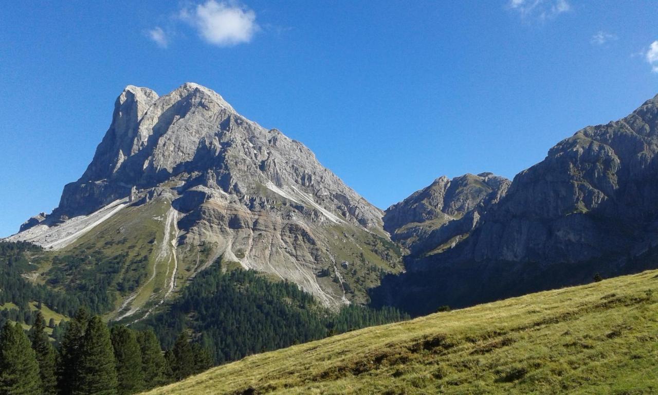 Mountain Residence Alpenhof - Company Hotel Alpenhof Kg Sas Der Gasser Renate ブレッサノーネ エクステリア 写真