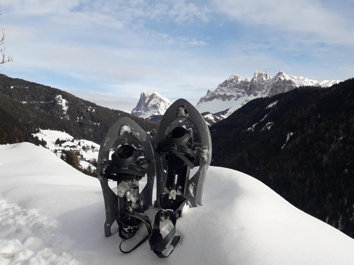 Mountain Residence Alpenhof - Company Hotel Alpenhof Kg Sas Der Gasser Renate ブレッサノーネ エクステリア 写真