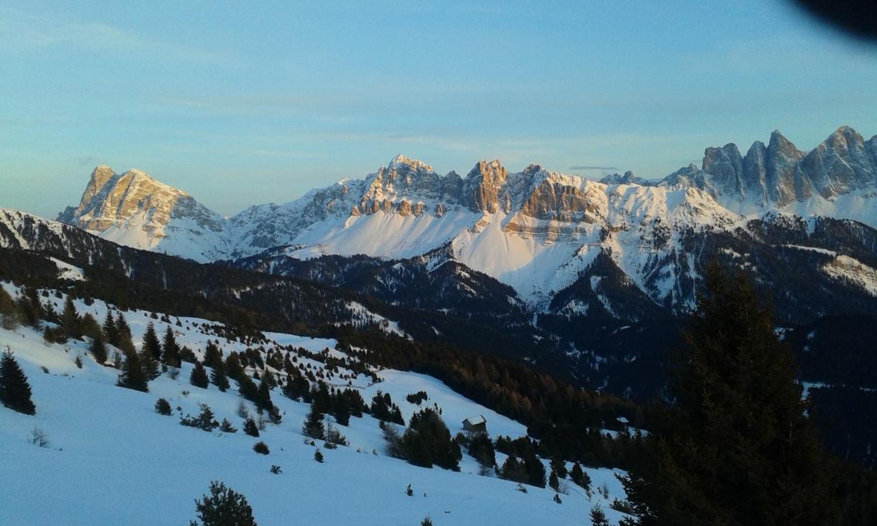 Mountain Residence Alpenhof - Company Hotel Alpenhof Kg Sas Der Gasser Renate ブレッサノーネ エクステリア 写真