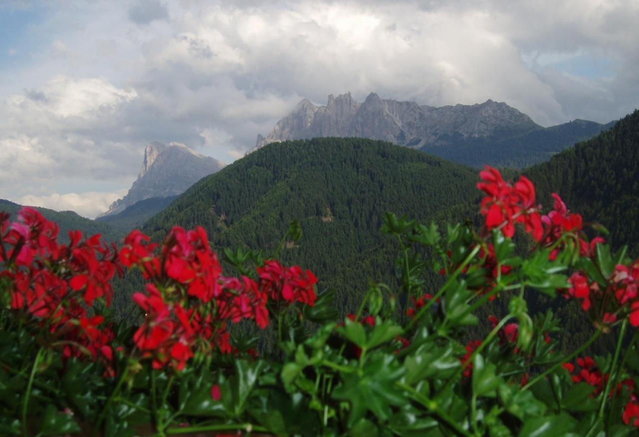 Mountain Residence Alpenhof - Company Hotel Alpenhof Kg Sas Der Gasser Renate ブレッサノーネ エクステリア 写真