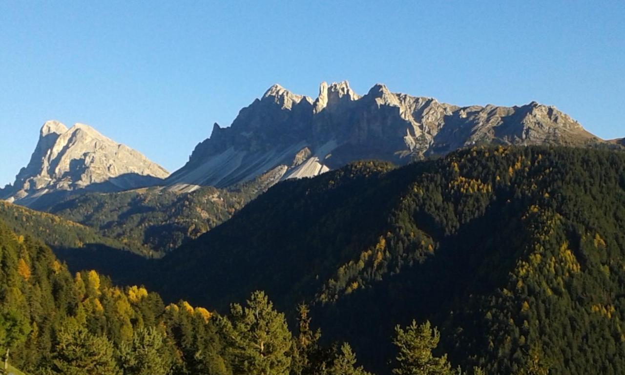 Mountain Residence Alpenhof - Company Hotel Alpenhof Kg Sas Der Gasser Renate ブレッサノーネ エクステリア 写真