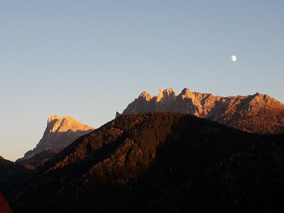 Mountain Residence Alpenhof - Company Hotel Alpenhof Kg Sas Der Gasser Renate ブレッサノーネ エクステリア 写真