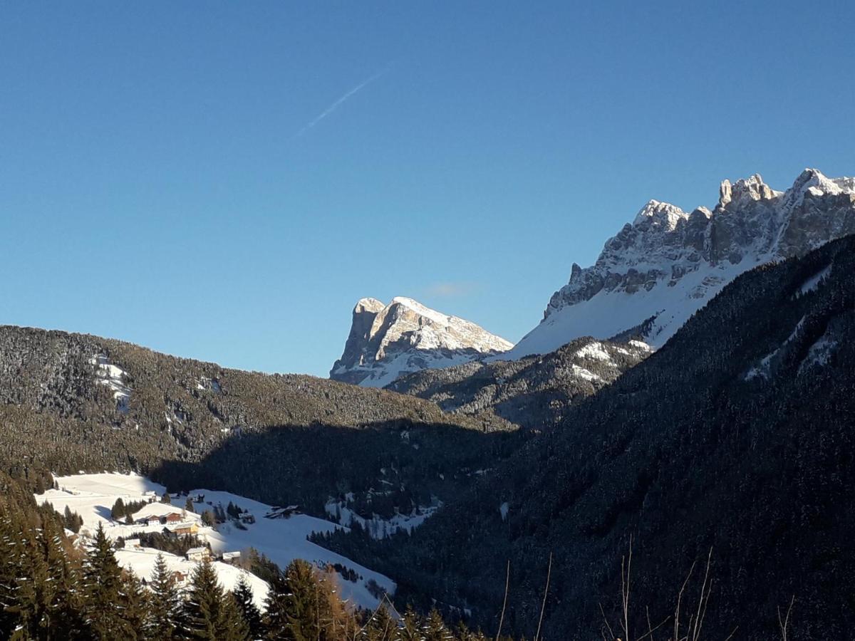 Mountain Residence Alpenhof - Company Hotel Alpenhof Kg Sas Der Gasser Renate ブレッサノーネ エクステリア 写真