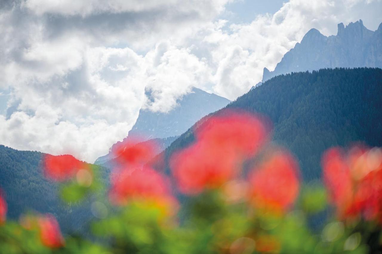 Mountain Residence Alpenhof - Company Hotel Alpenhof Kg Sas Der Gasser Renate ブレッサノーネ エクステリア 写真